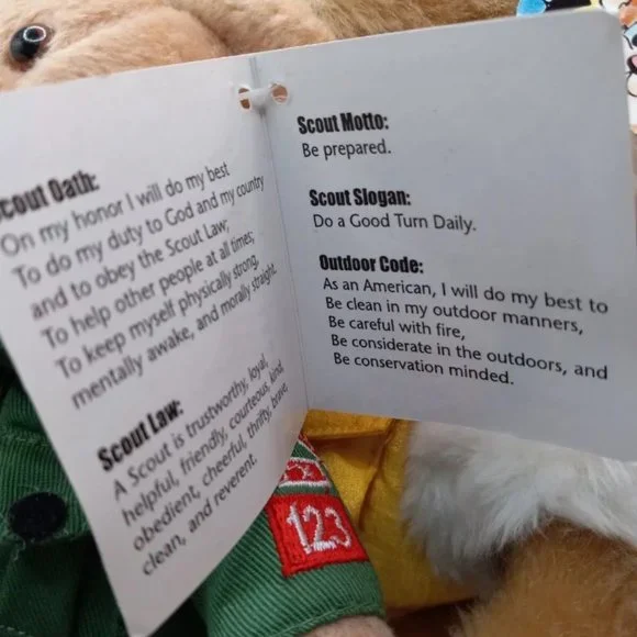 Boy Scouts of America Stamp Bear 2005 & Iceberg Augie 2001 Plush NWT - Picture 5 of 12